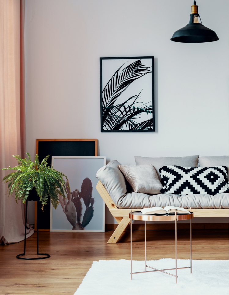 soft area rug in a stylish living room with hardwood floors