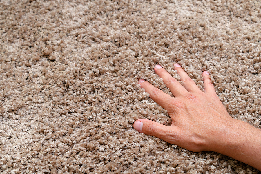 plush area rug photo up-close, hand touching carpet.